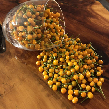 Aji - Pepper Seeds Combo Pack (7 Varieties) - Seeds - The Pepper Pantry (Formerly Marie Sharp's)